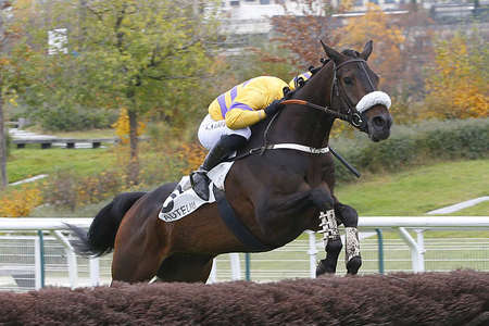 Actualités Hippiques